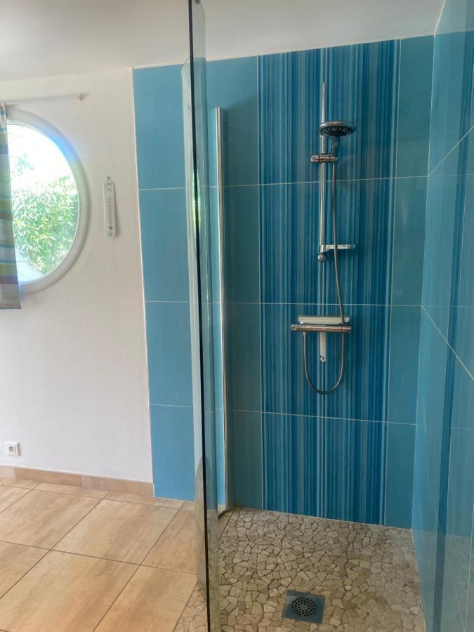 Maison Althea Rosea - 3 Chambres Et Piscine Nieulle-sur-Seudre Ngoại thất bức ảnh